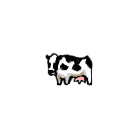 content image