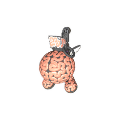 Big Brain