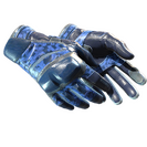 ★ Moto Gloves | Polygon (Field-Tested)