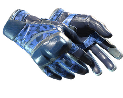 ★ Moto Gloves | Polygon