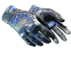 ★ Moto Gloves | Polygon