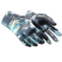 ★ Moto Gloves | Cool Mint (Field-Tested)