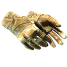 ★ Moto Gloves | Transport (Battle-Scarred)