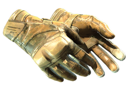 ★ Moto Gloves | Transport