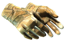 ★ Moto Gloves | Transport