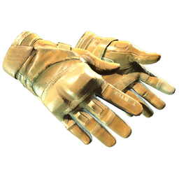 ★ Moto Gloves | Transport