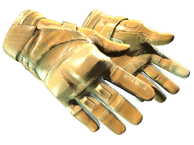 Motorradhandschuhe (★) | Transport