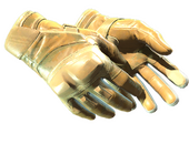 ★ Moto Gloves | Transport (Minimal Wear)