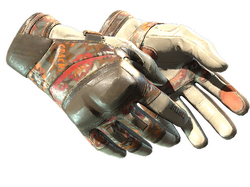 ★ Moto Gloves | POW!