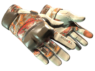 ★ Moto Gloves | POW!