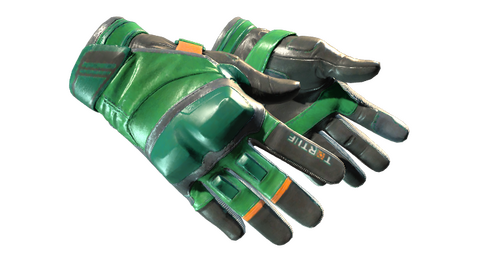 ★ Moto Gloves | Turtle (Minimal Wear)