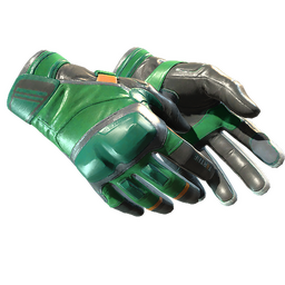 ★ Moto Gloves | Turtle