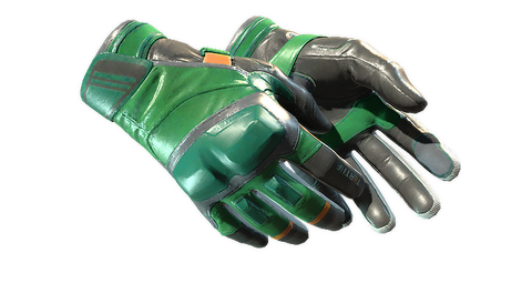 ★ Moto Gloves | Turtle (Minimal Wear)