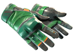 ★ Moto Gloves | Turtle