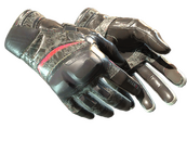 ★ Moto Gloves | Boom! (Field-Tested)