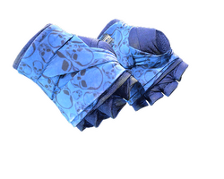 ★ Hand Wraps | Cobalt Skulls