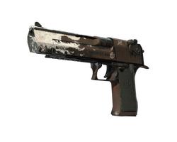 StatTrak Desert Eagle | Oxide Blaze