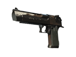 StatTrak Desert Eagle | Oxide Blaze