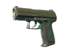P2000 | Marsh