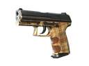 P2000 | Coach Class (Field-Tested)