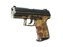 P2000 | Coach Class (Battle-Scarred)