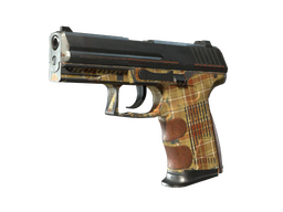 P2000 | Coach Class (Battle-Scarred)