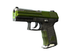 P2000 | Turf (Battle-Scarred)