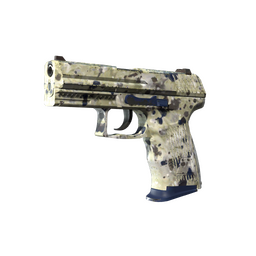 Souvenir P2000 | Granite Marbleized