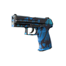 P2000 | Oceanic (Field-Tested)