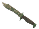Bowie Knife | Forest DDPAT (Well-Worn)