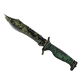 ★ Bowie Knife | Boreal Forest
