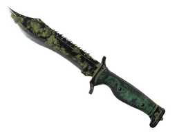★ Bowie Knife | Boreal Forest (Battle-Scarred)