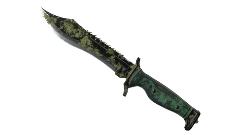 ★ Bowie Knife | Boreal Forest (Battle-Scarred)