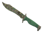 ★ Bowie Knife | Boreal Forest (Well-Worn)