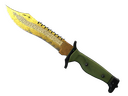 Bowie Knife | Lore (Battle-Scarred)