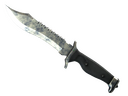 Bowie Knife | Stained (Battle-Scarred)