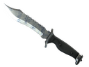 StatTrak™ Bowie Knife | Stained (Field-Tested)