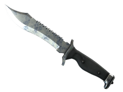 ★ StatTrak Bowie Knife | Stained
