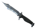 Bowie Knife | Stained (Minimal Wear)