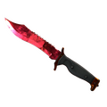 ★ Bowie Knife | Doppler