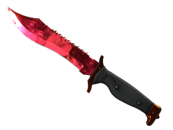 ★ Bowie Knife | Doppler
