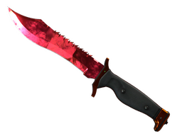 ★ Bowie Knife | Doppler (Factory New)