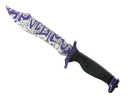 Bowie Knife | Freehand (Field-Tested)