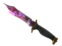 Bowie Knife | Doppler (Factory New)