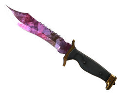 ★ Bowie Knife | Doppler (Minimal Wear)