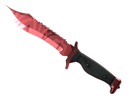 ★ StatTrak™ Bowie Knife | Slaughter (Factory New)