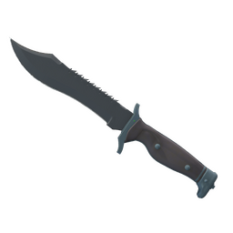 ★ StatTrak&trade; Bowie Knife | Night