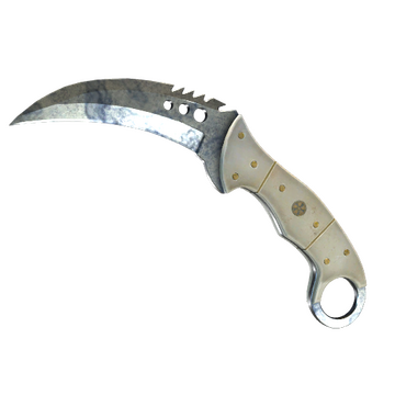 ★ StatTrak™ Talon Knife | Stained (Well-Worn)