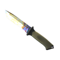 ★  Ursus Knife | Case Hardened