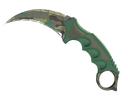 Karambit | Boreal Forest (Well-Worn)